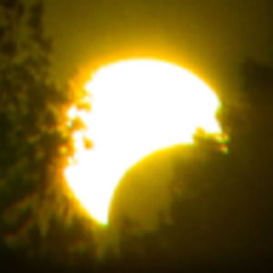 Meet your Posher, Marcus